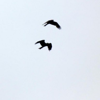 1-Jahres-Katamnese 2007 1-Jahres-Katamnese 2007