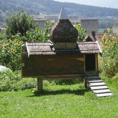 1-Jahres-Katamnese 2009 1-Jahres-Katamnese 2009