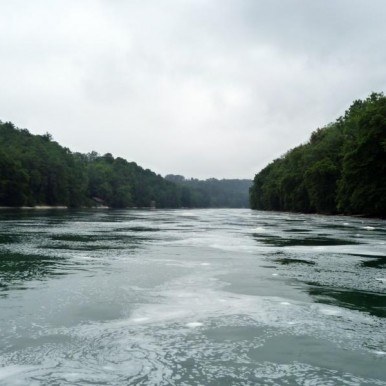 1-Jahres-Katamnese 2010 1-Jahres-Katamnese 2010