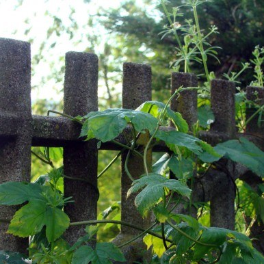 1-Jahres-Katamnese 2012 1-Jahres-Katamnese 2012