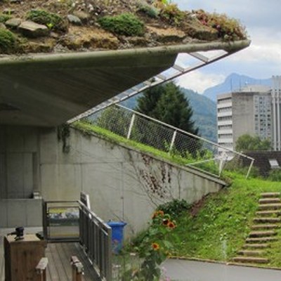 1-Jahres-Katamnese 2013 1-Jahres-Katamnese 2013