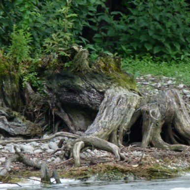 Evaluationsbericht 2007 Evaluationsbericht 2007