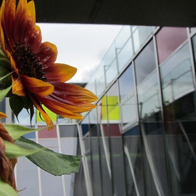 Evaluationsbericht 2013 Evaluationsbericht 2013