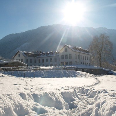 Weihnachtswunsch aus der Therapiestation Carina Weihnachtswunsch aus der Therapiestation Carina