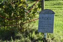 Alkohol- und Medikamentensucht