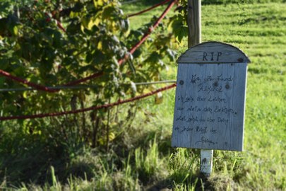 Alkohol- und Medikamentensucht Alkohol- und Medikamentensucht
