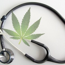 Cannabis in der Medizin Cannabis in der Medizin