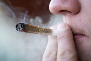 Ist Cannabis die Einstiegsdroge Nr. 1?